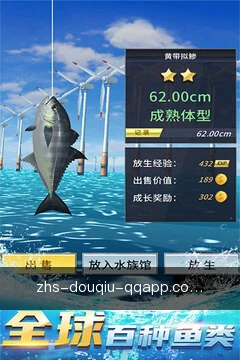 跨端同步观赛状态